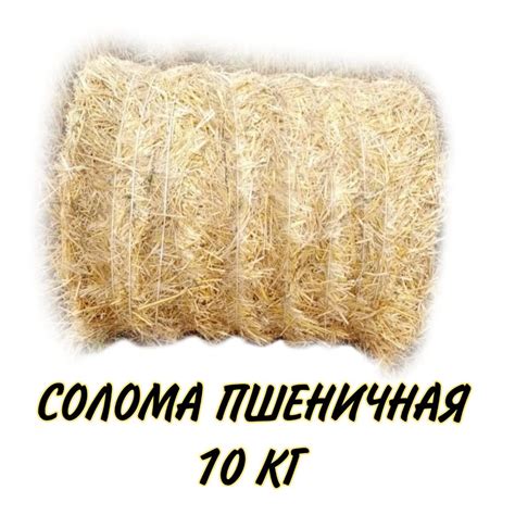 Солома для с/х животных ; мульча ; подстилка для собак. - купить с ...