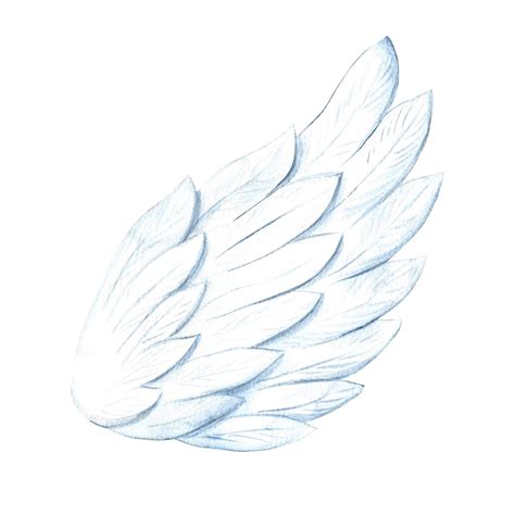 The white wing of an angel a handdrawn watercolor illustration ...