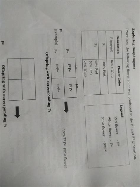 Learning task 2: Answer the following question **click the image ...