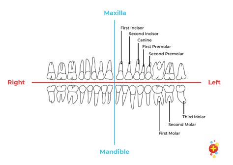 Image result for Graphical Abstract Examples of a Process