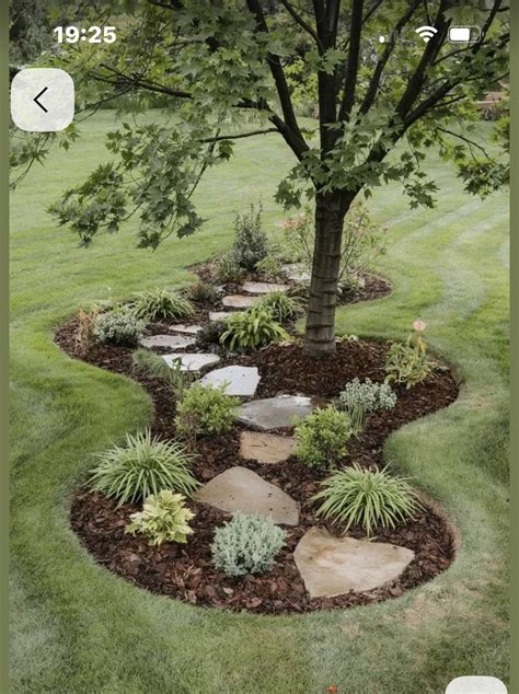 Pin by Mary Ciao on Giardino in 2025 | Landscaping around trees, Front ...