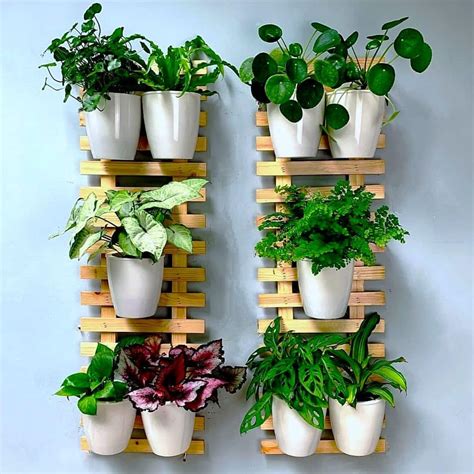 Wall Planters Indoor Wood at Elaine Hudson blog