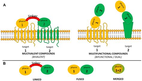 Fentanyl Structure as a Scaffold for Opioid/Non-Opioid Multitarget ...