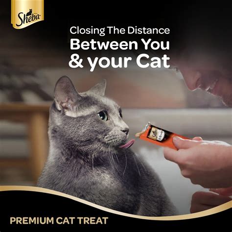 Sheba® Tuna & Prawn Flavors Melty Premium Cat Stick Treat