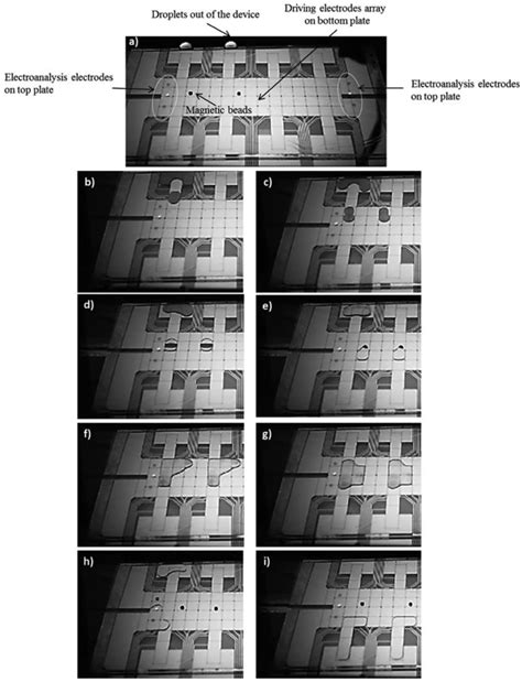 Sensors | Special Issue : Opto-Microfluidics for Bio Applications