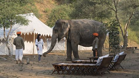 20+ Places To Visit in Jaipur: A Complete Guide
