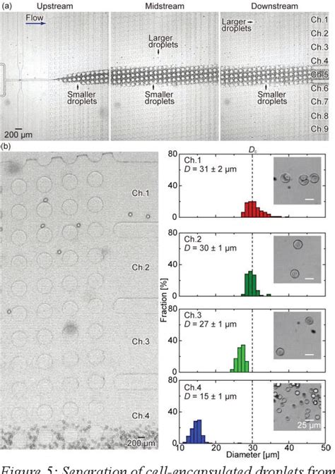 Image result for Microfludics Cell Encapsulation