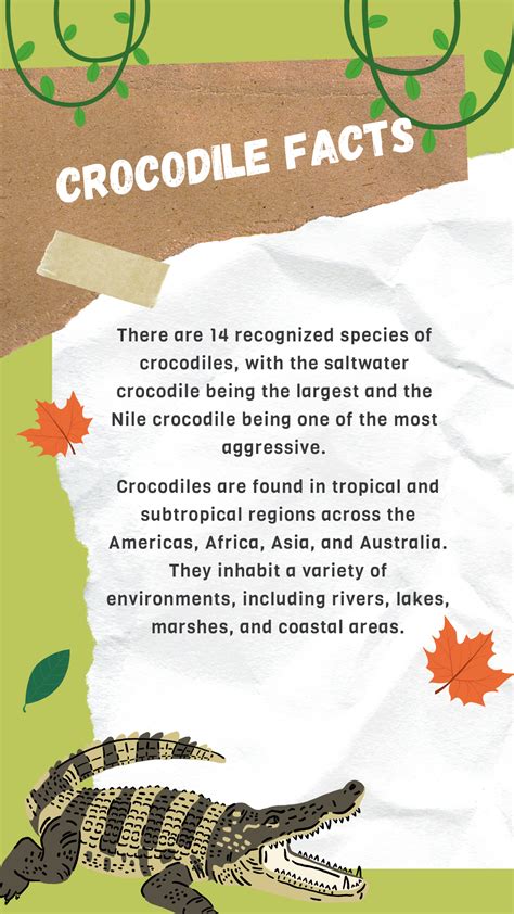 Crocodile Facts: Exploring the World of Crocodiles