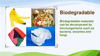 biodegradable 的图像结果