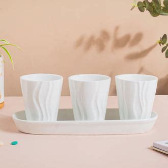 Indoor Plant Pots - Buy Decorative Indoor Flower Planters | Nestasia