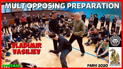 Systema 的图像结果