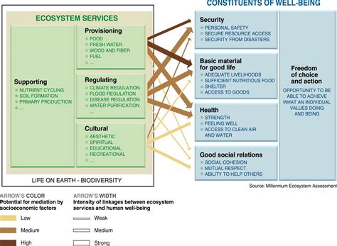 Ecosystem services - Introduction to Sustainability Science