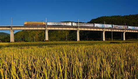 Top 10 Most Beautiful Railway Travel Routes in China