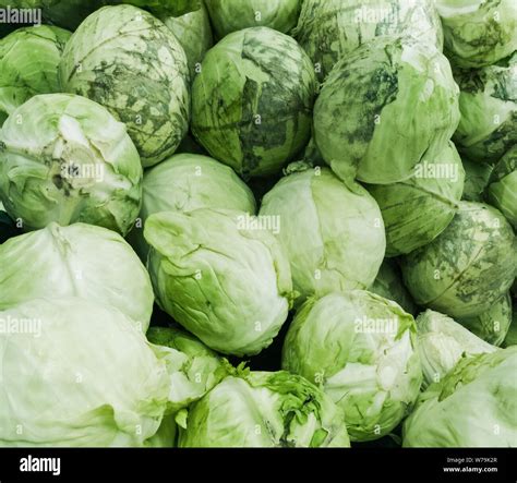 heads of the cabbage, closeup Stock Photo - Alamy