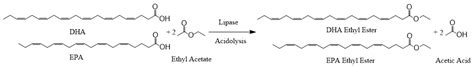 Synthesis of DHA/EPA Ethyl Esters via Lipase-Catalyzed Acidolysis Using ...