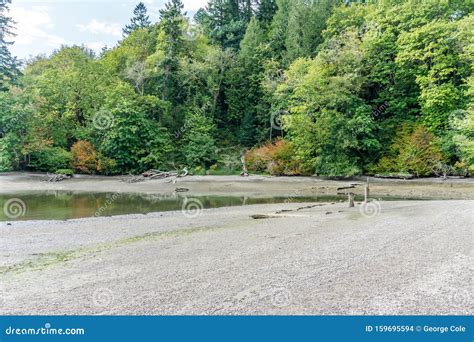 Priest Point Park Shoreline 4 Stock Photo - Image of nature, priest ...