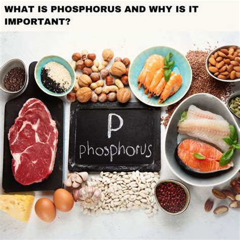 Phosphorus in Your Diet: Why It’s Essential for Your Health | Clinikally