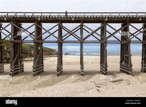 Bridge Side View 的图像结果