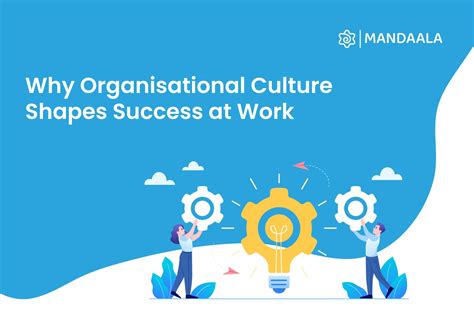 Organisational Culture: Types, Importance & How to Build It - importance of organisational culture