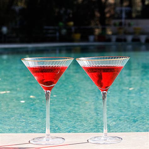 Martini Glasses ( Set of 4) – SofaPotato