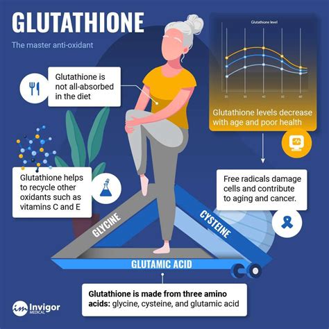 Foods that increase Glutathione naturally | Invigor Medical