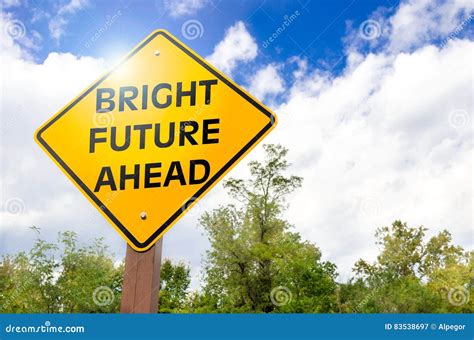 Looking into the Future 的图像结果