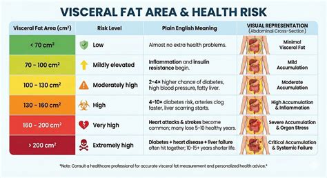 Free Visceral Fat Calculator and Healthy Ranges Explained | DEXA Scan ...