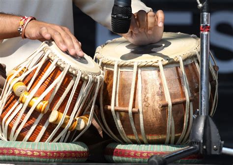 Image result for Indian Musical Instruments