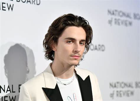 Timothée Chalamet's Mustache Has Divided the Internet | POPSUGAR Beauty