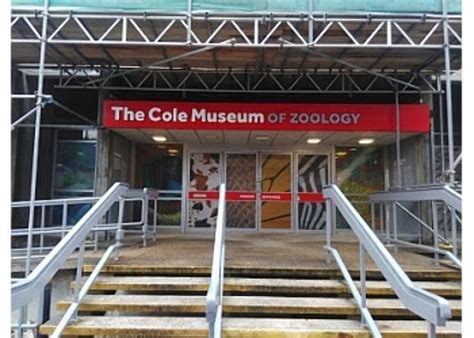 Cole Museum of Zoology, reading, United Kingdom - Top Attractions ...