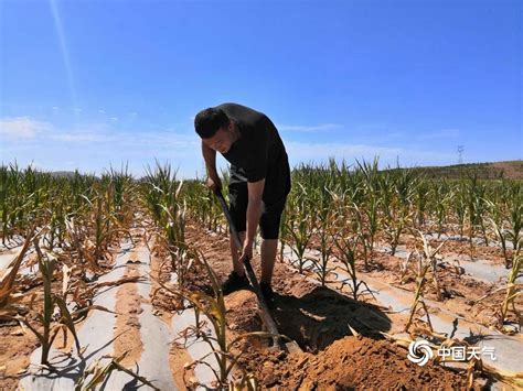 湖北农作物受旱面积872万亩 逾65万人饮水难-搜狐新闻