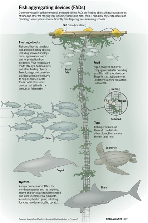 Fisheries 的图像结果