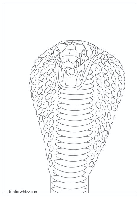 King Cobra Coloring Pages & Book (12 Printable PDFs)