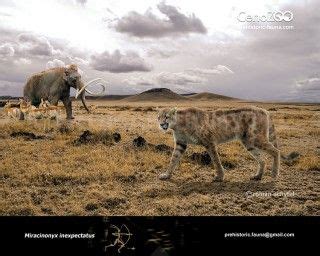 Extinct 的图像结果