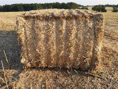 Bale Of Hay Measurements
