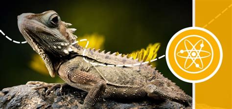 Science Homework Help 的图像结果