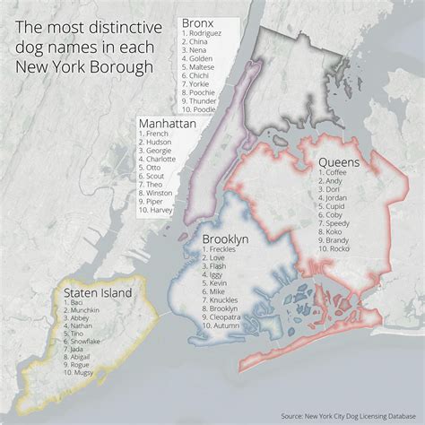 Nyc Boroughs Map The Dogs Of New York City Mapped Vivid Maps