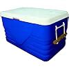 Buy Princeware Plastic Ice Box, 100 Litre, Assorted Online at Low ...