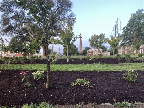 Our Gallery - Quincy Housing Authority