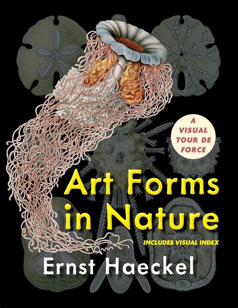 Buy Art Forms in Nature (Dover Pictorial Archive) Book Online at Low ...