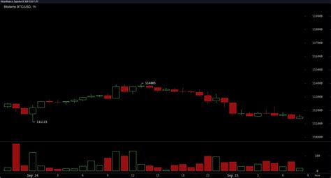 Elon Musk Backs Coinbase Warning: Bitcoin Could Replace Dollar Amid US ...