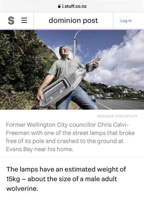 not a female wolverine : r/oddlyspecific