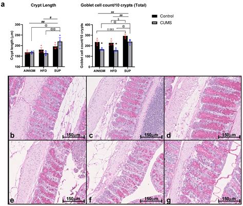 The Effects of Chronic Unpredictable Mild Stress and Semi-Pure Diets on ...