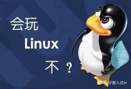 嵌入式软件开发(linux C编程)有前景吗？在同等级别，工资是否没有java开发高？ - 知乎