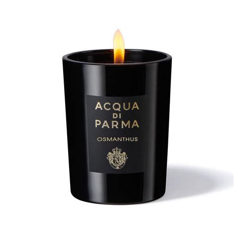 OSMANTHUS CANDLE – MAISON DES PARFUMS