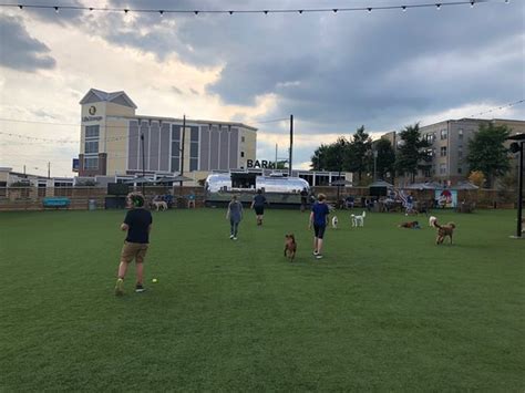 Fetch Park and Ice House (Atlanta) - 2020 All You Need to Know Before ...