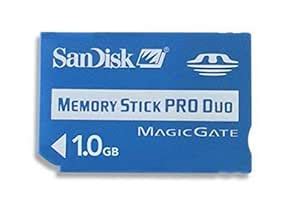 SanDisk 1 GB Memory Stick Pro Duo (SDMSPD-1024-A11, Retail Package ...