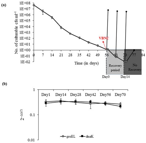 The Impact of Protease during Recovery from Viable but Non-Culturable ...