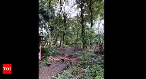 Vashi Navi Mumbai 的图像结果