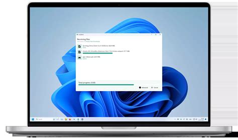 Local Copy vs Download 的图像结果